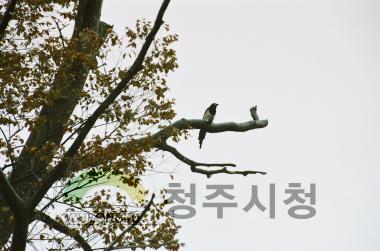 보살사 명부전 낙성식