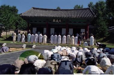 향교 추계 석전 대제