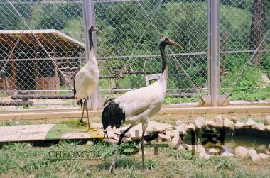 청주 동물원