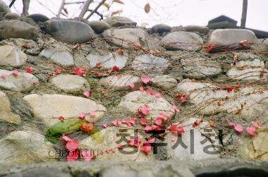 아름다운 청주,용화사.보살사,대청호 주변