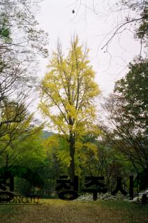 아름다운 청주,용화사.보살사,대청호 주변