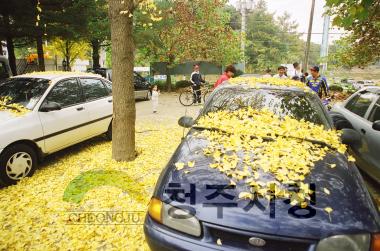 아름다운 청주,용화사.보살사,대청호 주변