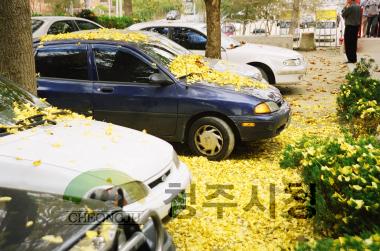 아름다운 청주,용화사.보살사,대청호 주변