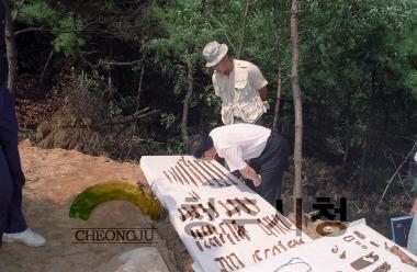 신봉동 백제 고분 발굴