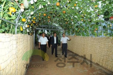 청원생명축제 현장 최종점검