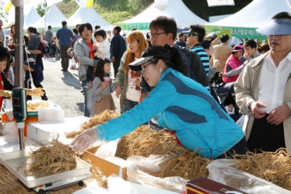 2010 청원생명축제-전시·조경·농특산물