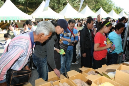 2010 청원생명축제-전시·조경·농특산물