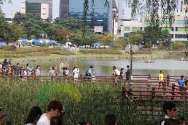 청원생명축제 성공기원 걷기대회