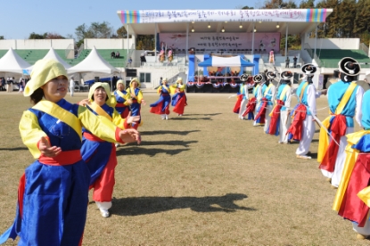 제 17회 충북민속예술축제