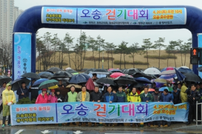 2013 오송걷기대회
