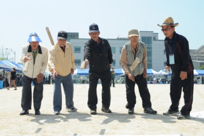 제 1회 남일면민 화합 한마당 축제