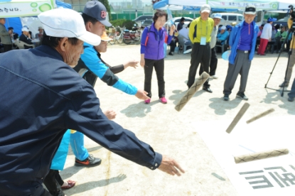 제 1회 남일면민 화합 한마당 축제