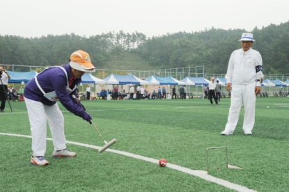청주청원 통합기념 생활체육 게이트볼대회