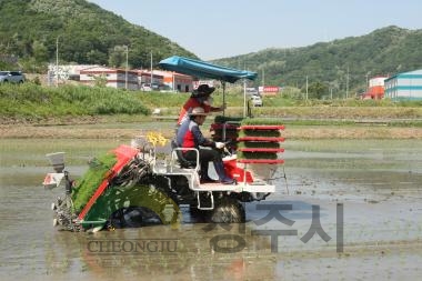 풍년기원 모내기 행사