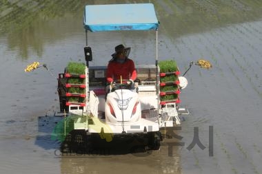 풍년기원 모내기 행사