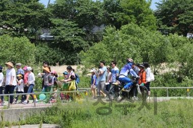 제8회 가족사랑 한마당 축제