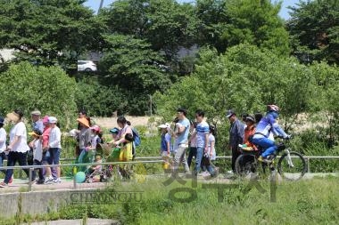 제8회 가족사랑 한마당 축제