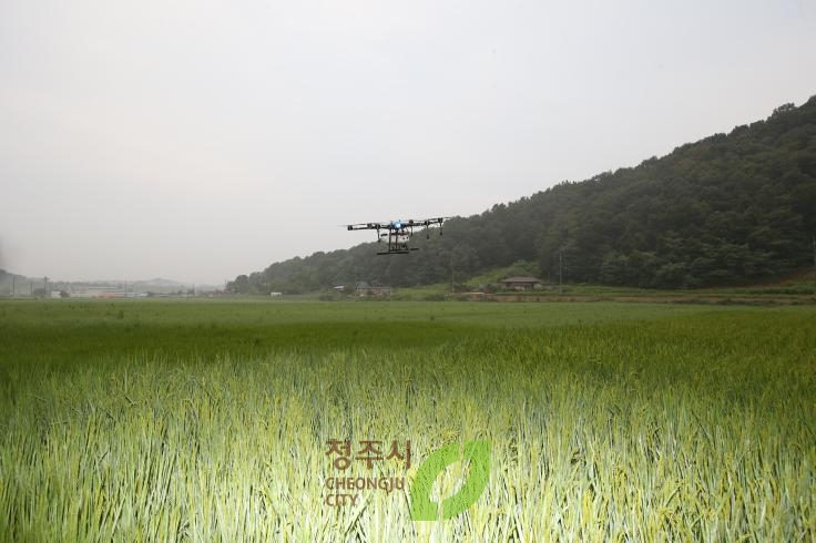 현장방문(청원생명쌀 드론방제)-오송읍 공북리
