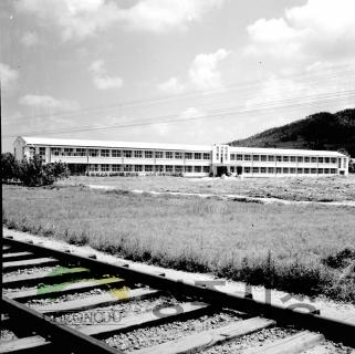 1966년도우암초등학교