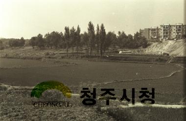 충북대 학우회 도로현장 2