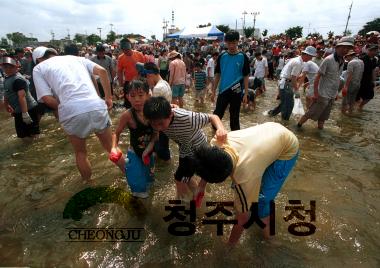 제1회 청주사랑무심천 물고기잡기 대회 1