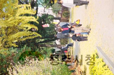 남사로및 중앙공원(입각수외은행나무,노인들휴식) 4