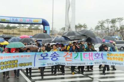 2013 오송걷기대회 3