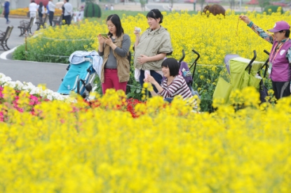 오송 화장품·뷰티 세계박람회 유채꽃 만발 11